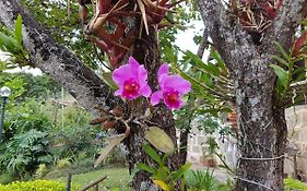 Residencial Flor- Hilda